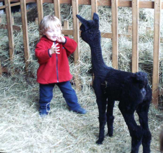 cria-29-bock-kind-11.jpg