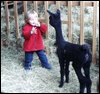 cria-29-bock-kind-11.jpg